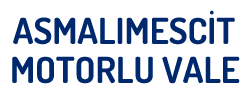 Asmalımescit Motorlu Vale